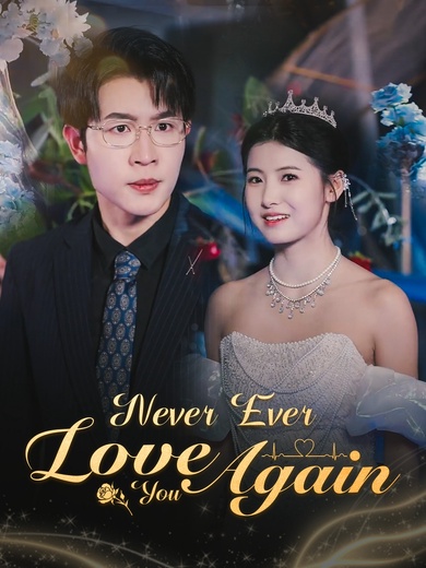 Never Ever Love You Again poster