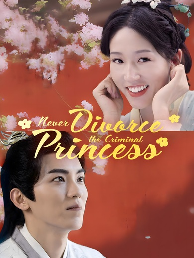 Never Divorce the Criminal Princess poster