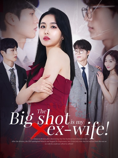 The big shot is my ex-wife! poster
