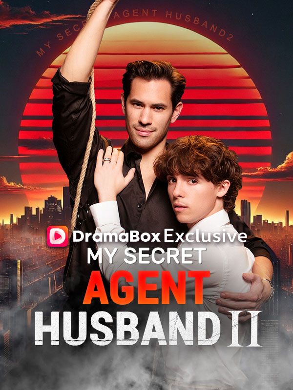 My Secret Agent Husband 2 poster