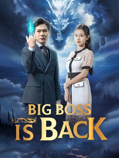 Big Boss Is Back poster