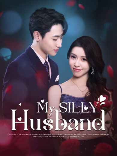 My SILLY Husband poster