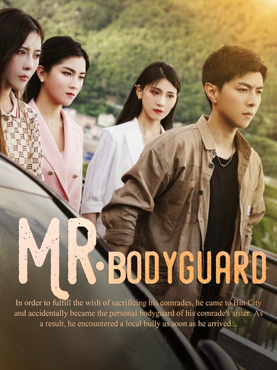 Mr. Bodyguard poster