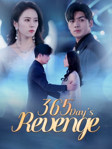 365 Day's Revenge poster