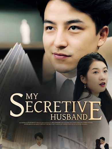 My Secretive Husband poster