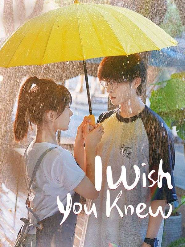 I Wish You Knew poster