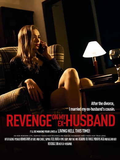 Revenge on my ex-husband poster