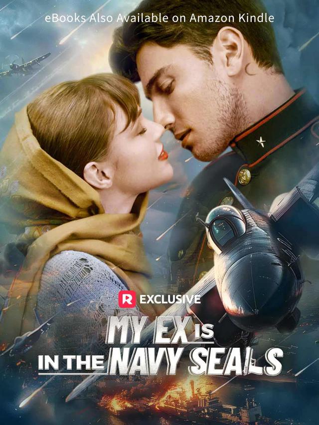 My Ex is in the Navy SEALs poster