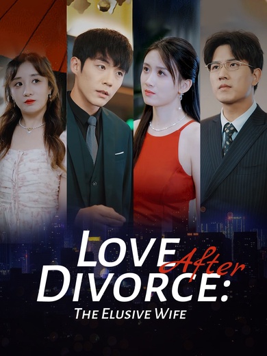 [Dubbed] Love After Divorce: The Elusive Wife poster