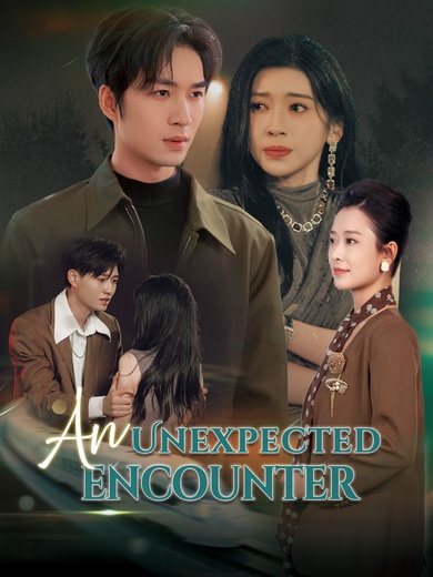 An Unexpected Encounter poster