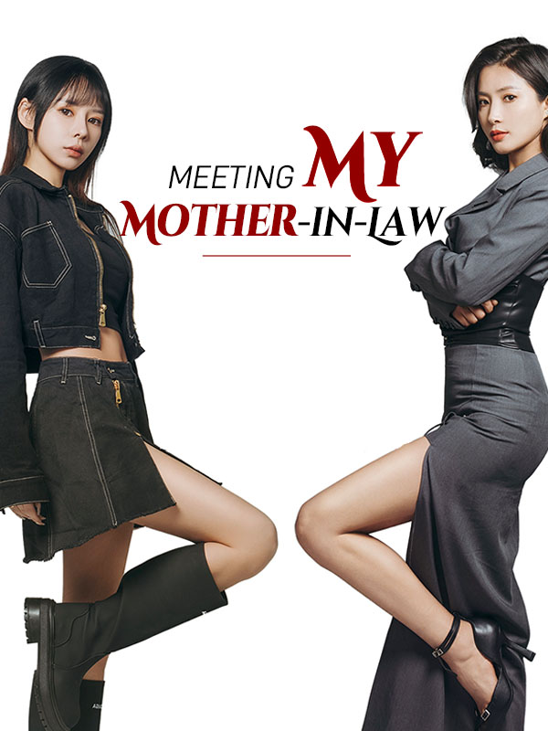 Meeting My Mother-in-Law poster