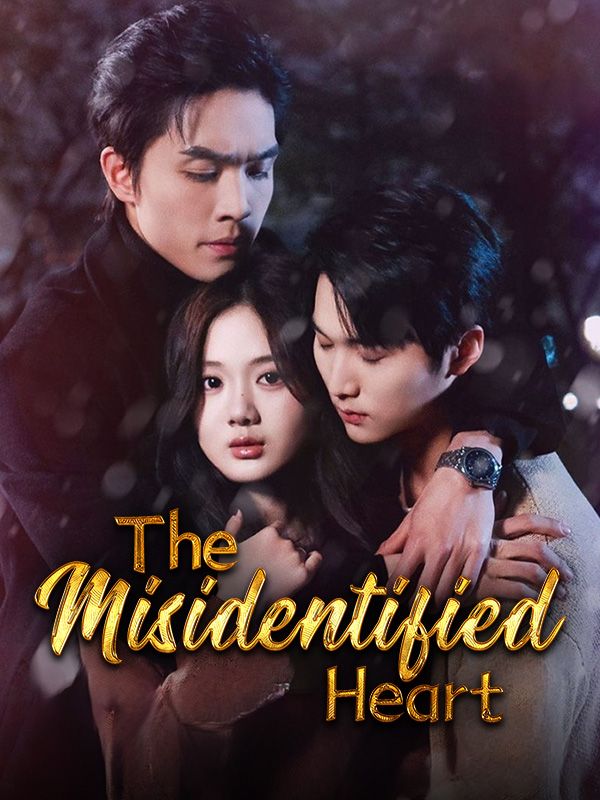 The Misidentified Heart poster