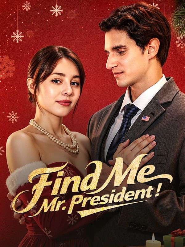 Find Me, Mr. President！ poster