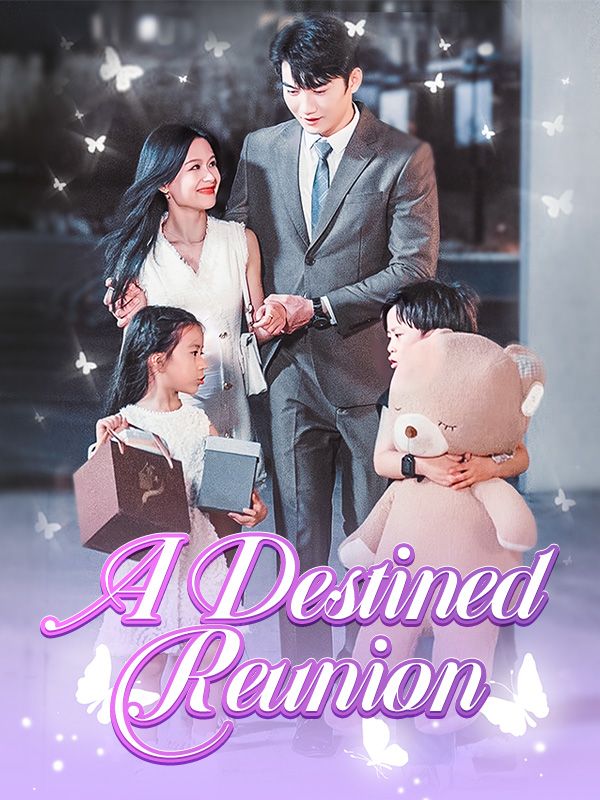 A Destined Reunion poster