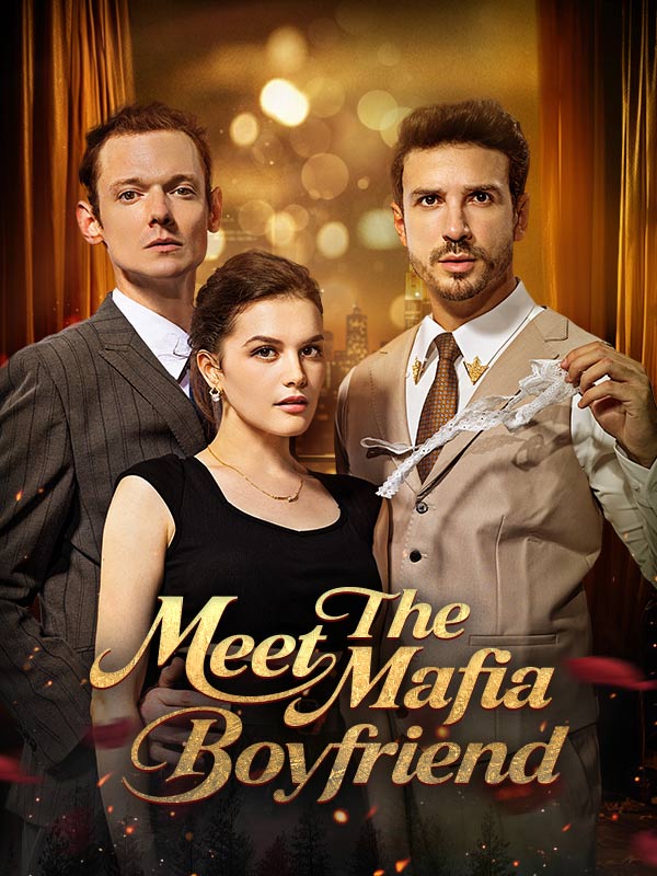 Meet The Mafia Boyfriend poster