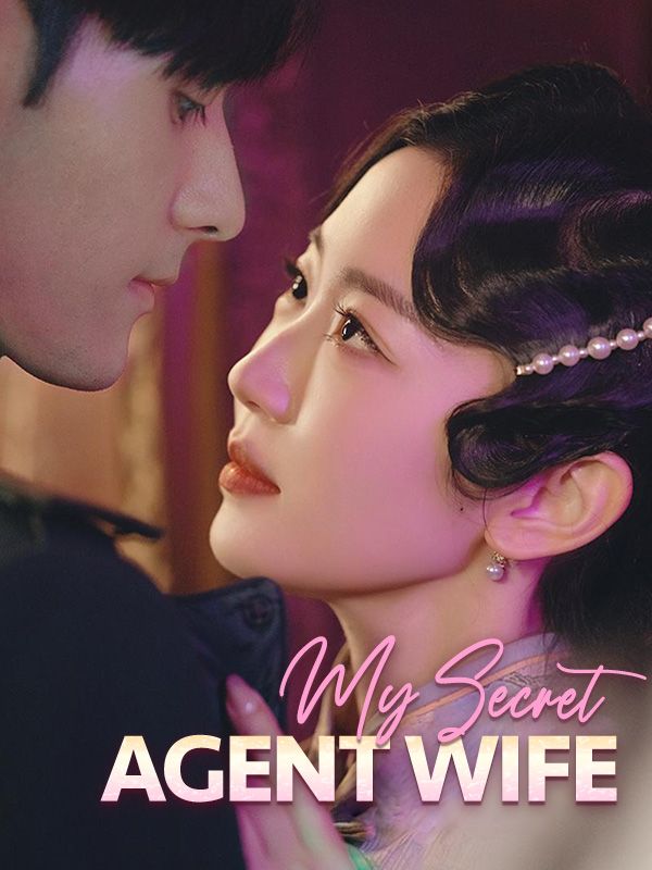 My Secret Agent Wife poster