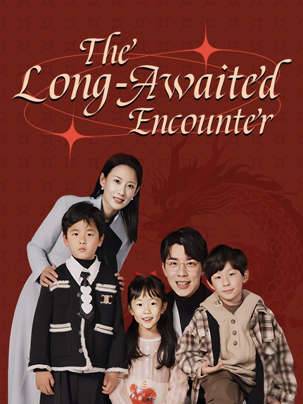 The Long-Awaited Encounter poster