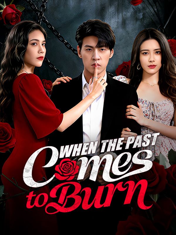 When the Past Comes to Burn (DUBBED) poster