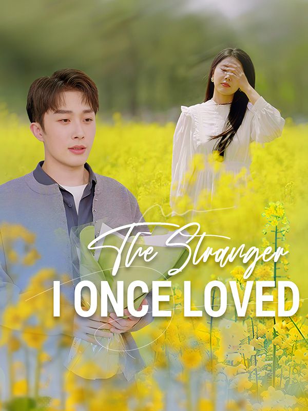 The Stranger I Once Loved poster