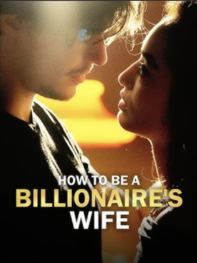 How To Be a Billionaire's Wife poster