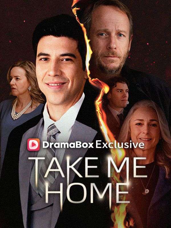 Take Me Home poster