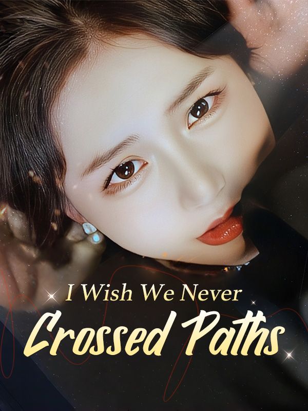 I Wish We Never Crossed Paths poster