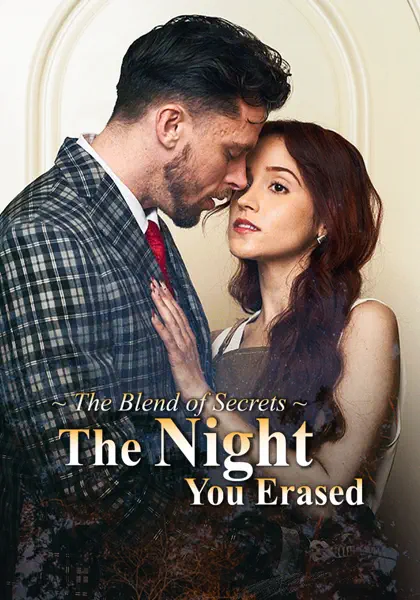 The Night You Erased poster