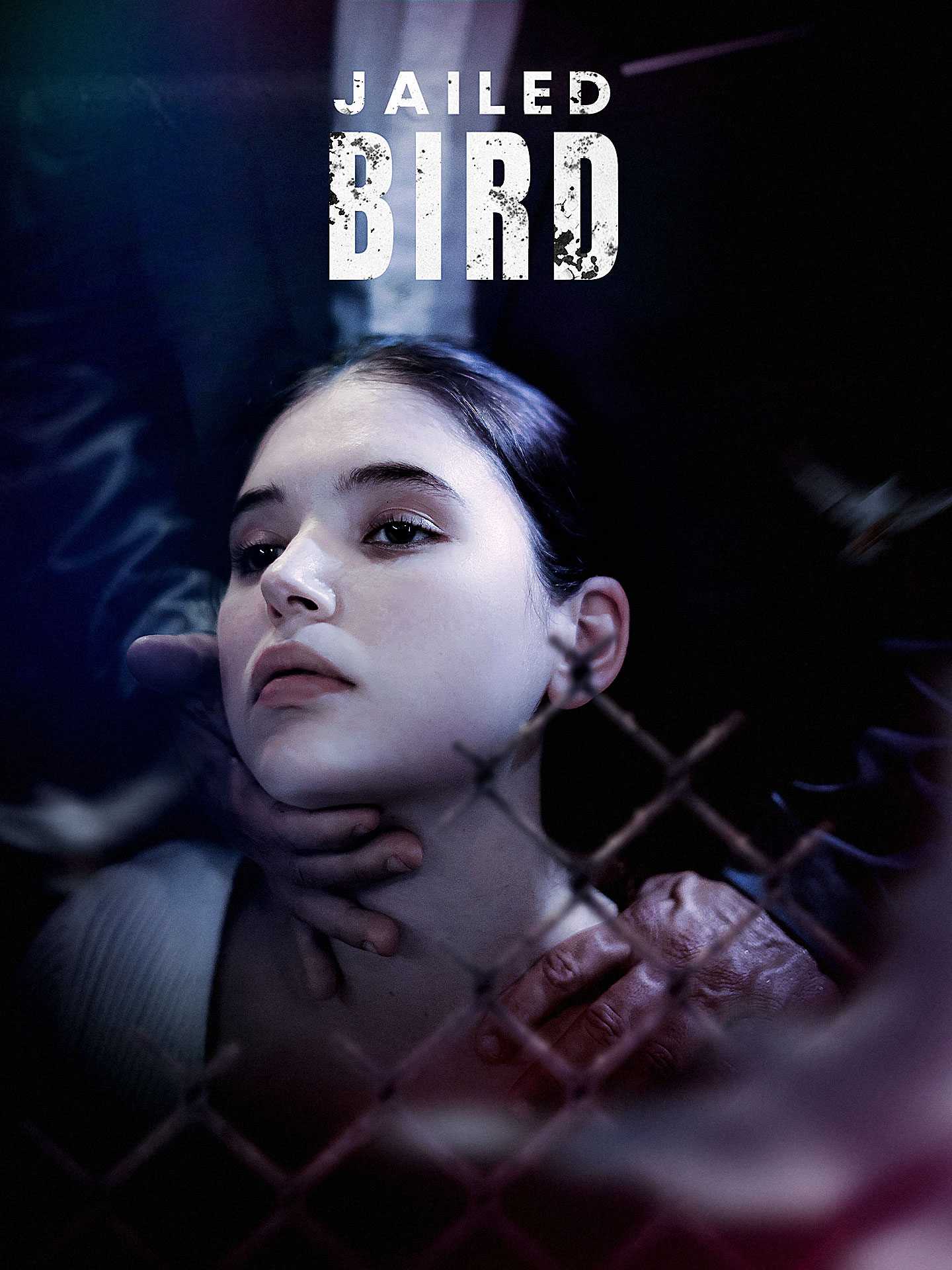 Jailed Bird poster