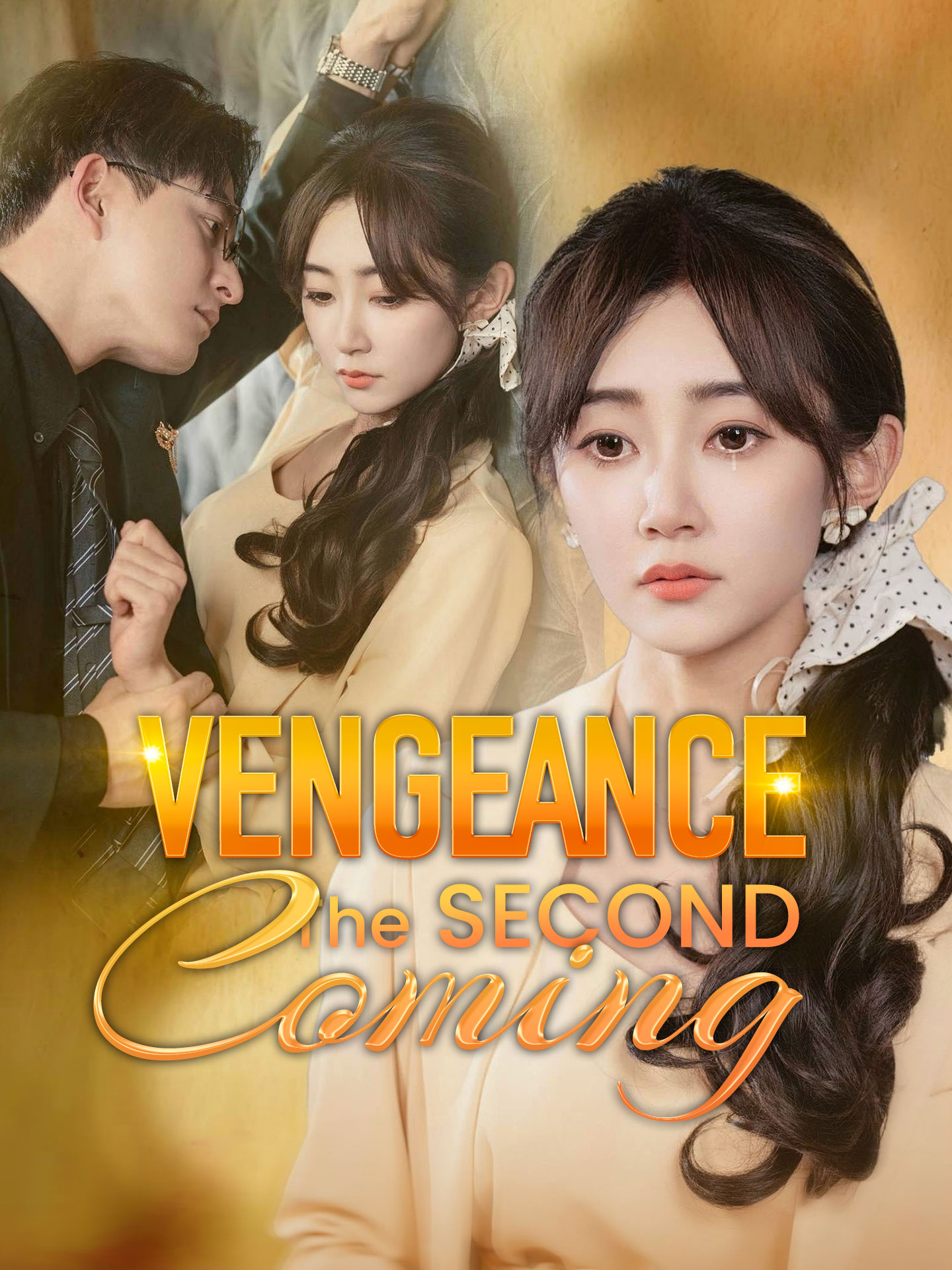 Vengeance: The Second Coming poster