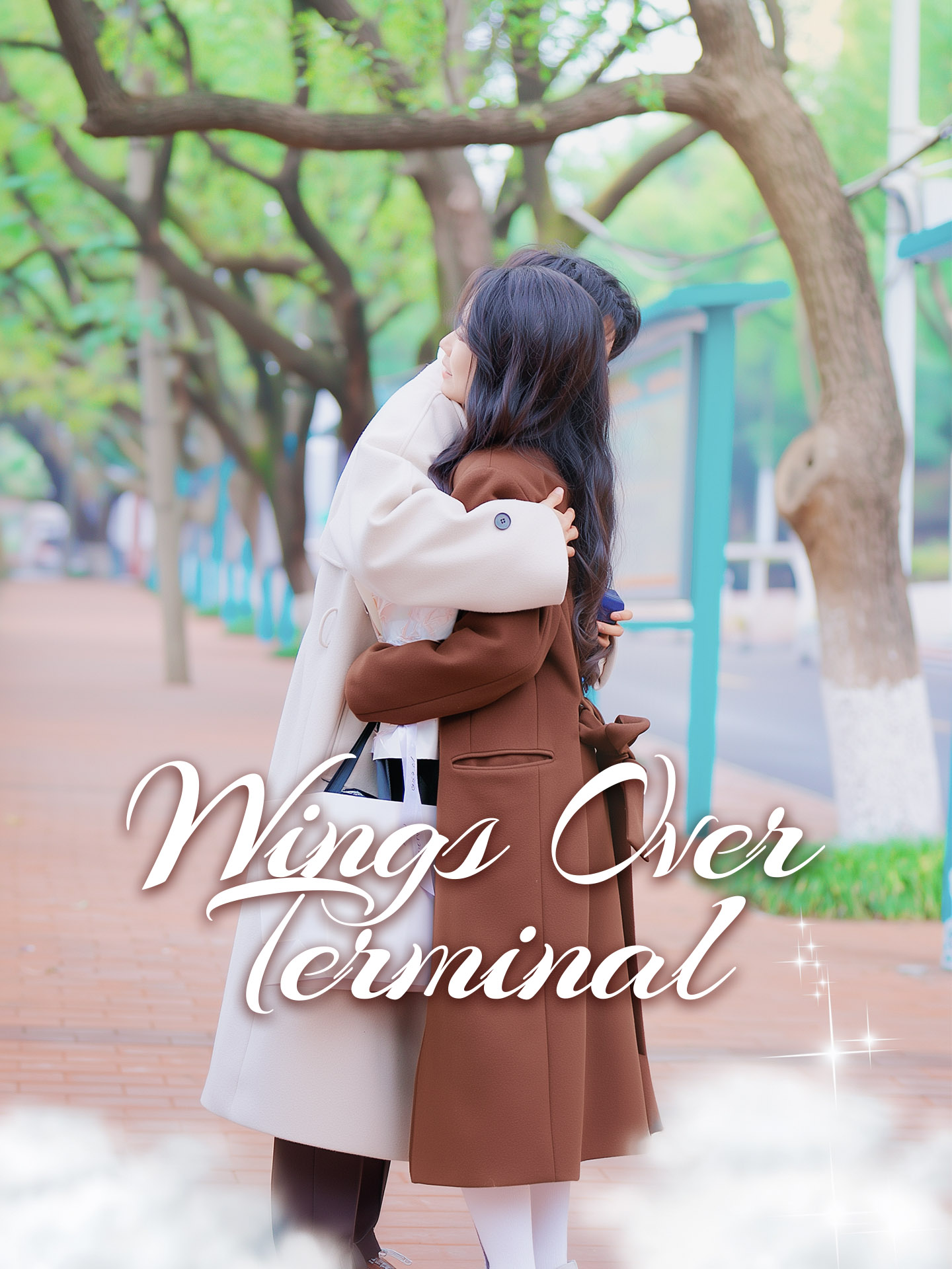 Wings Over Terminal poster