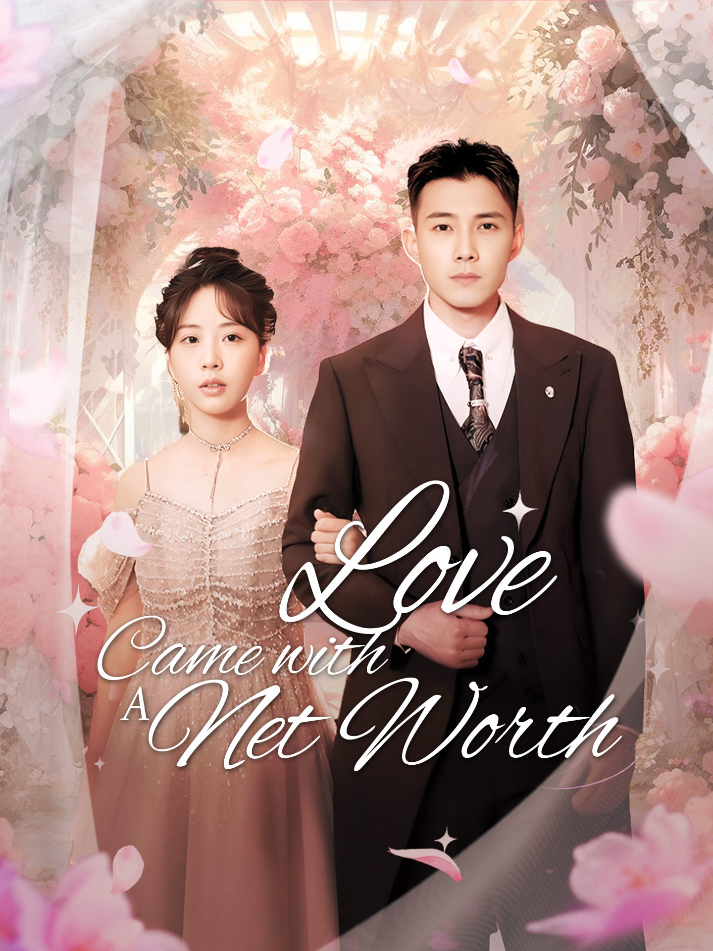 Love Came with a Net Worth poster