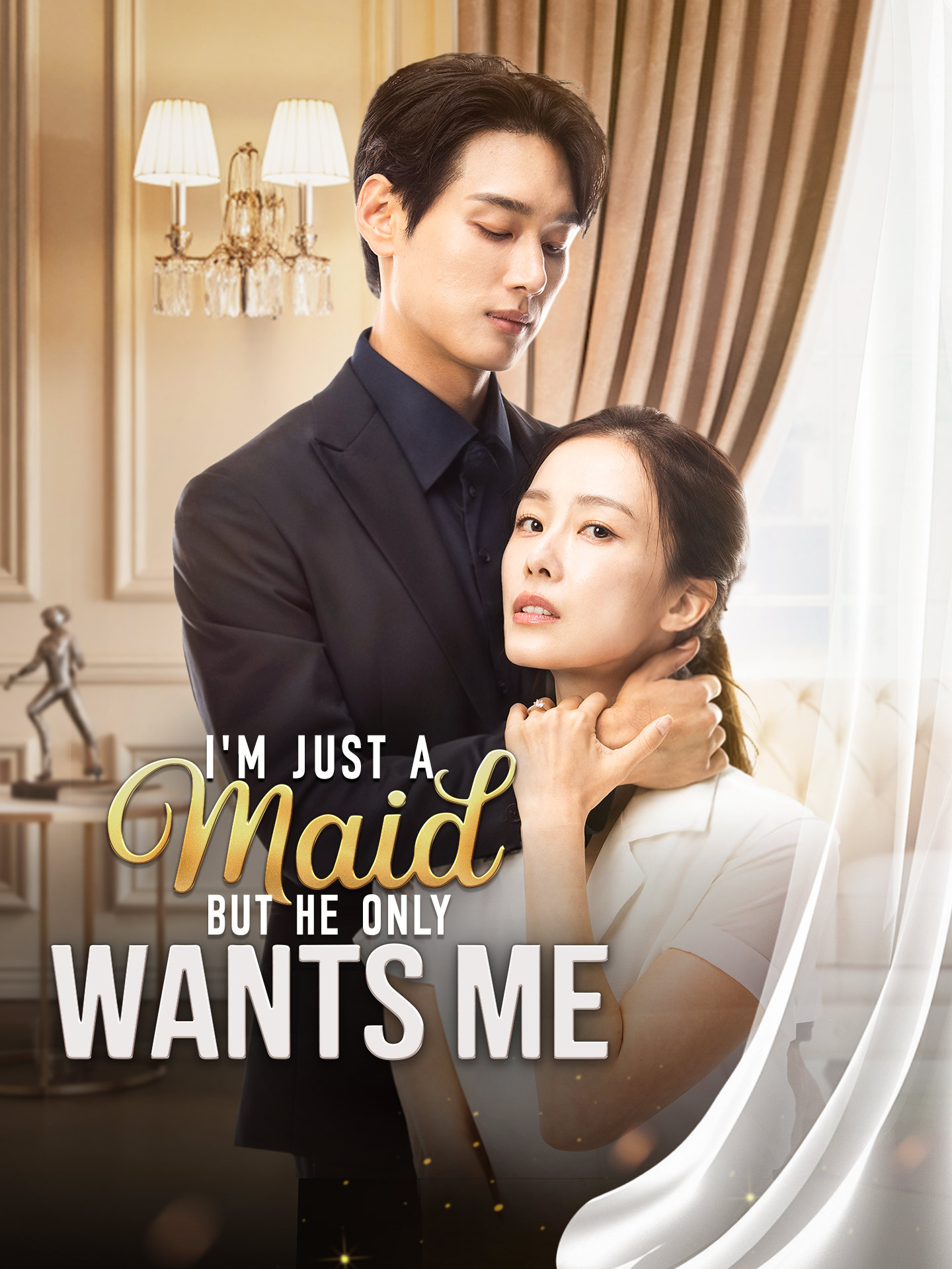 I'm Just a Maid But He Only Wants Me poster