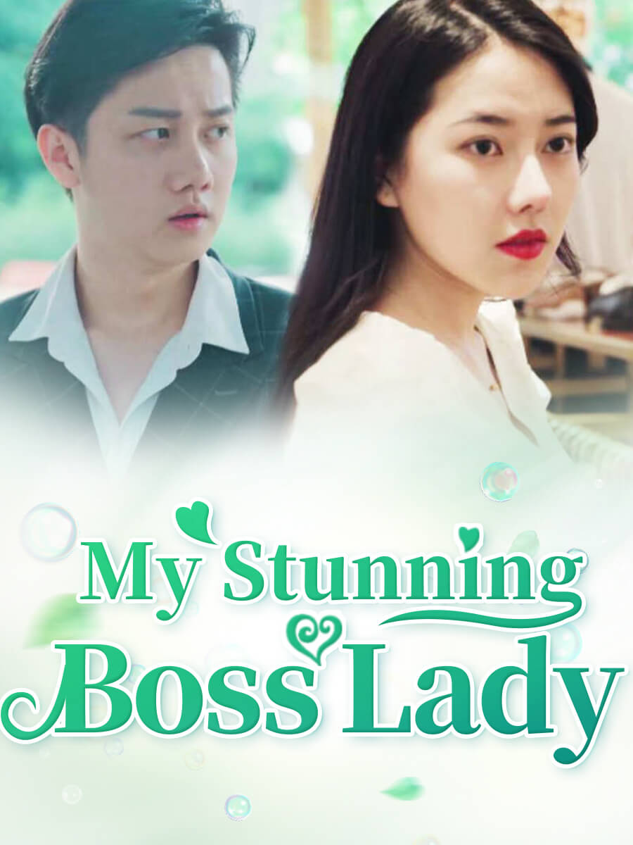 My Stunning Boss Lady poster