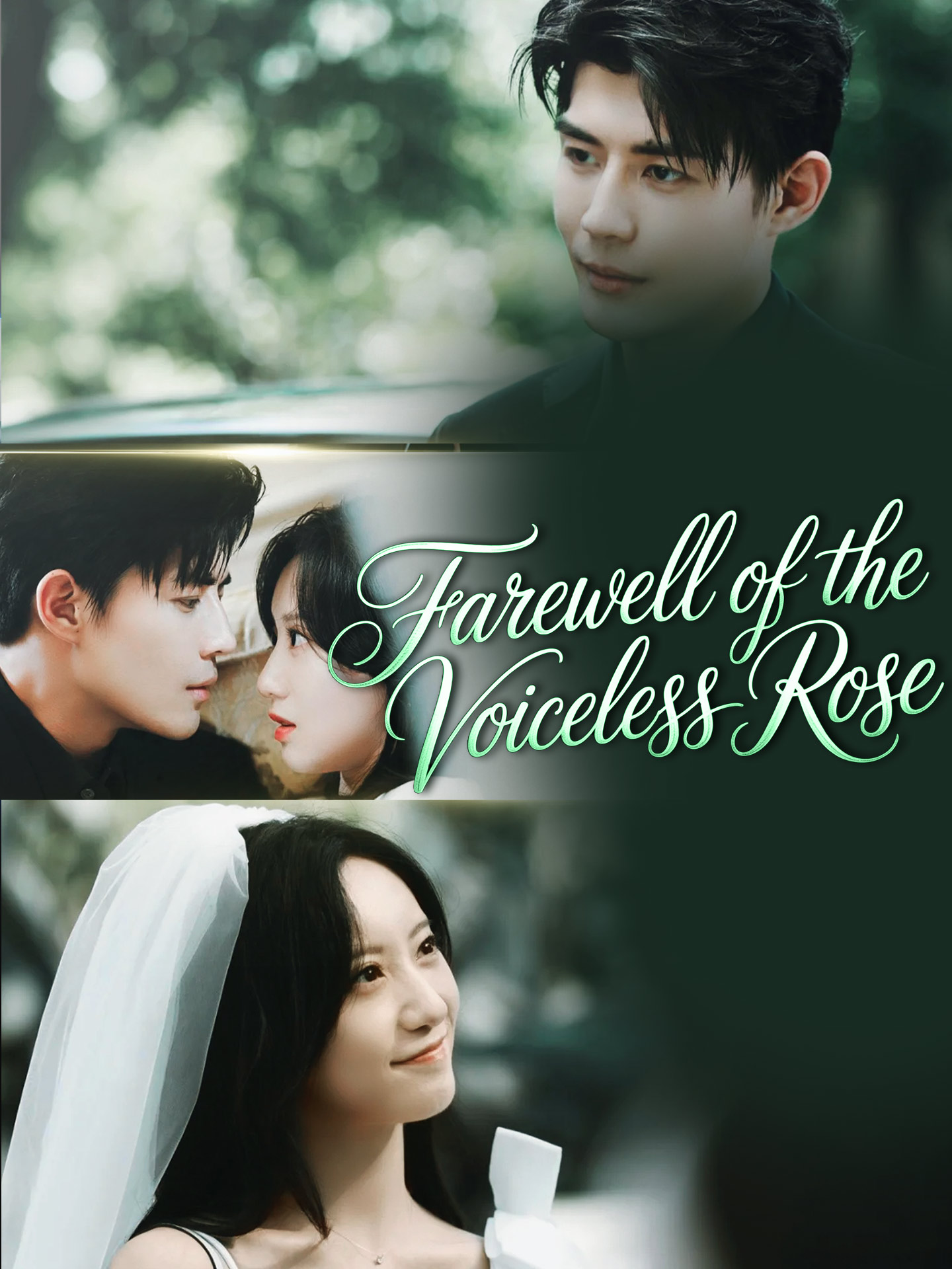 Farewell of the Voiceless Rose(Silent No More: I Got My Prince) poster