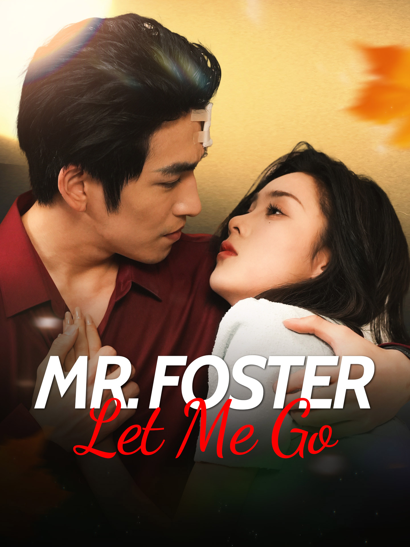 Mr. Foster, Let Me Go poster