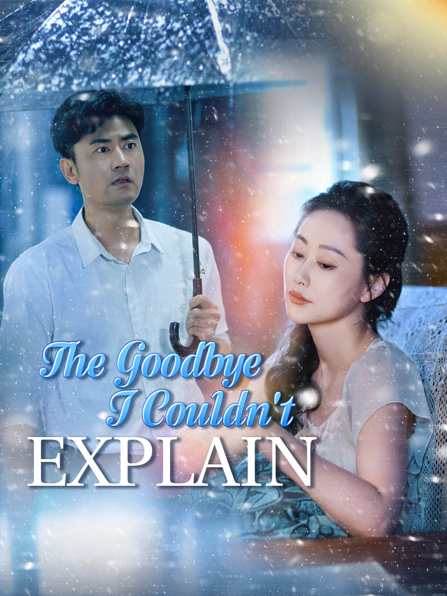 The Goodbye I Couldn't Explain poster