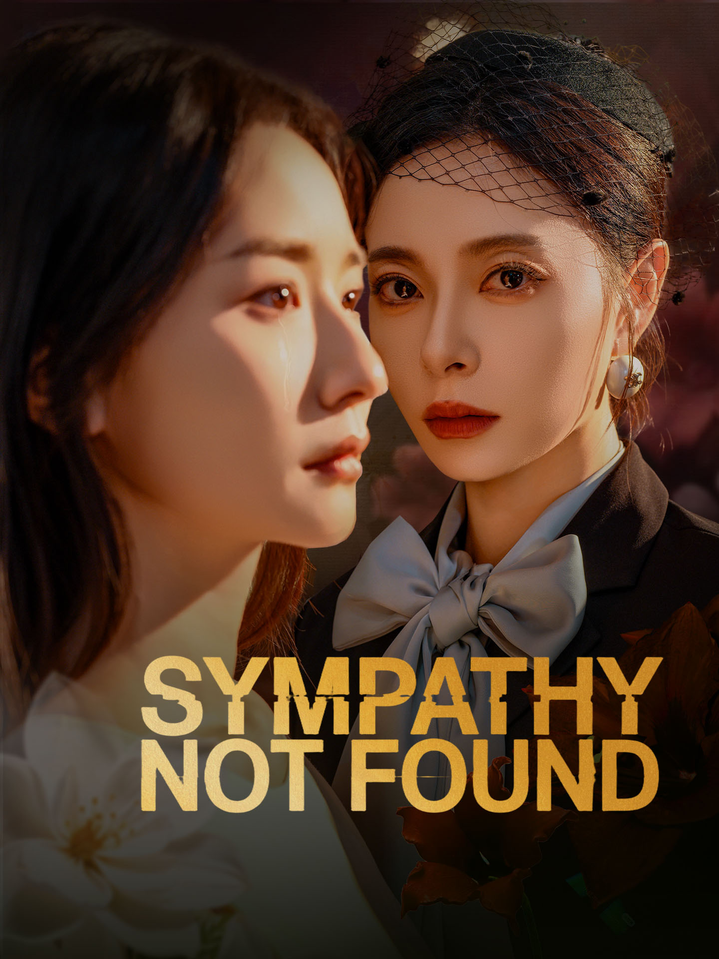 Sympathy Not Found poster