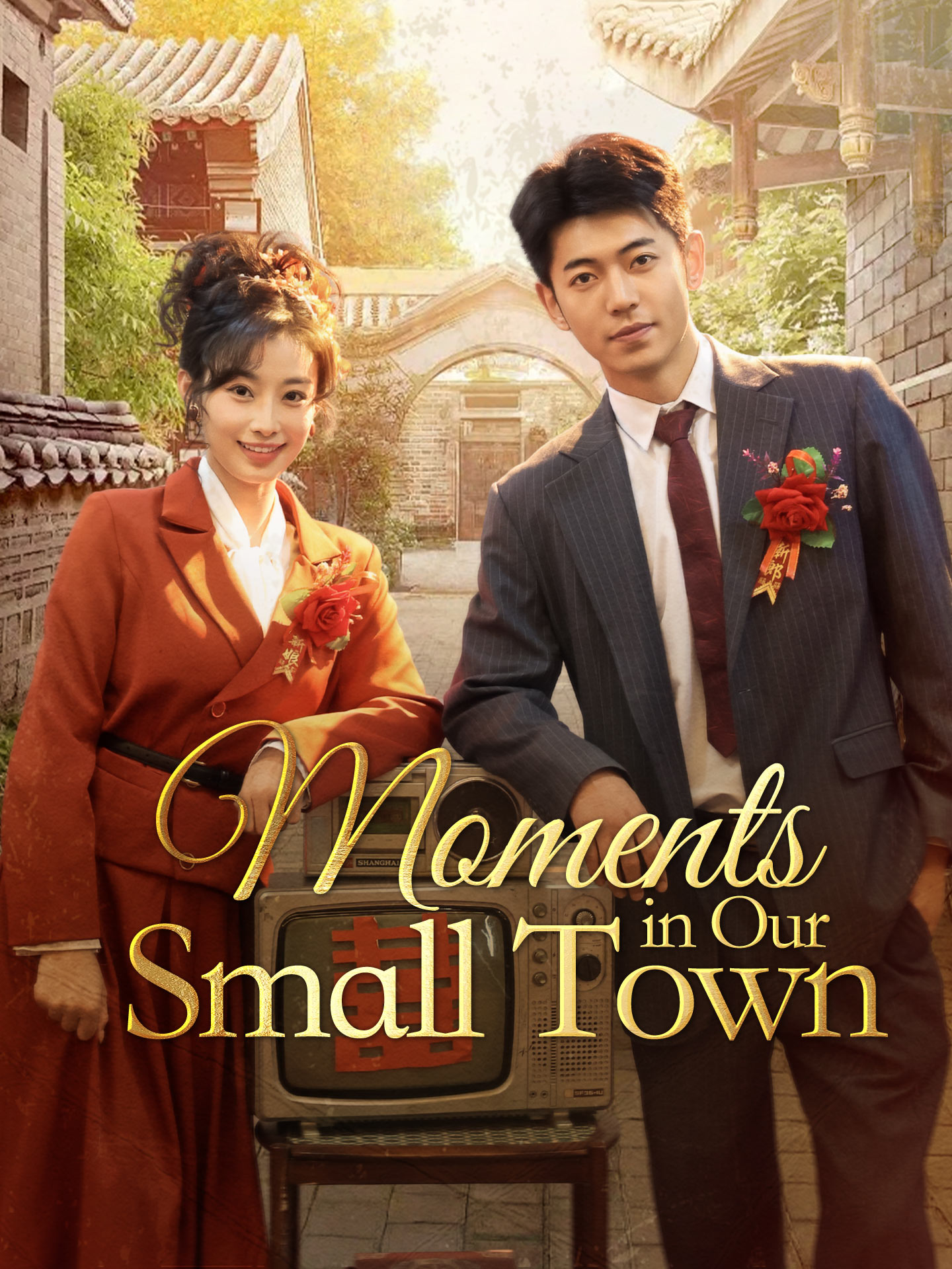 Moments in Our Small Town poster