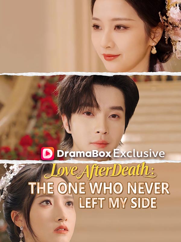 Love After Death: The One Who Never Left My Side(DUBBED) poster