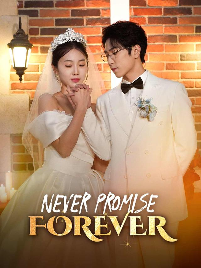 Never Promise Forever poster