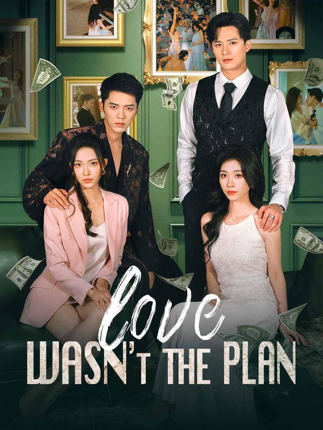 Love Wasn't the Plan(English-dubbed) poster