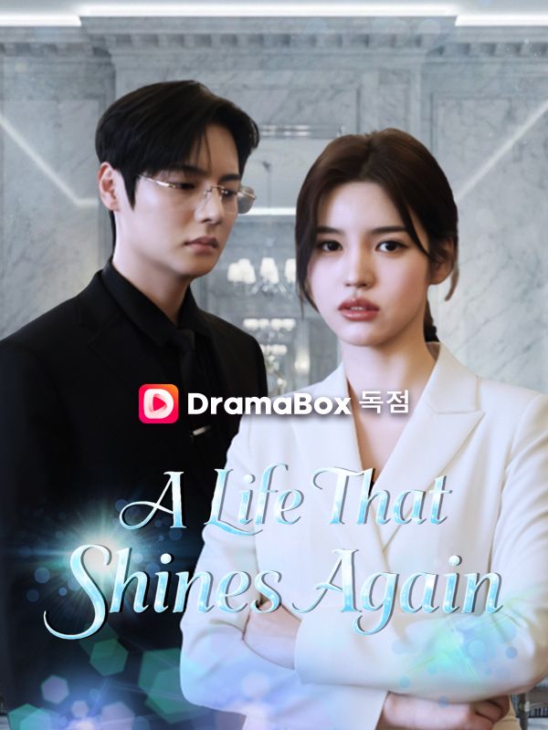 A Life That Shines Again poster