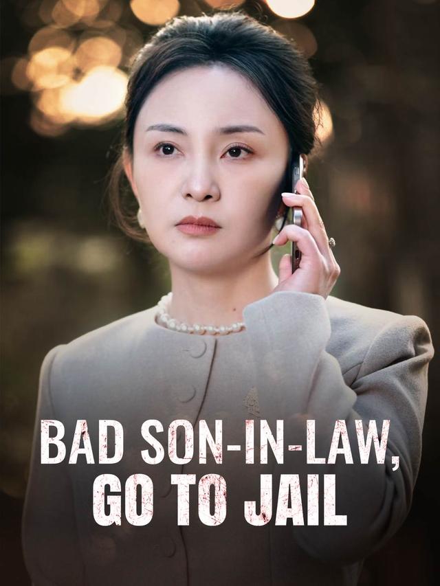 Bad Son-in-Law, Go to Jail poster