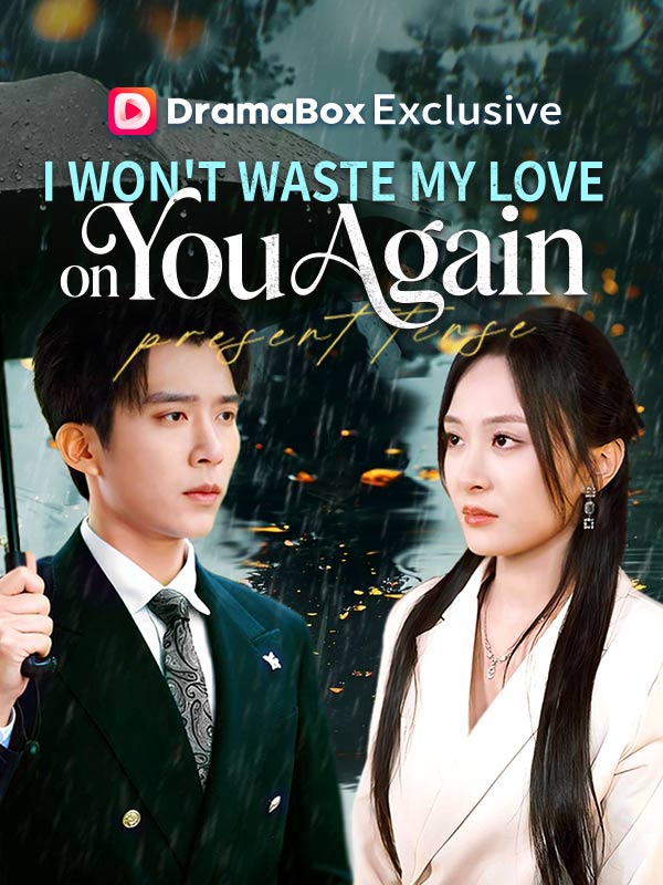 I Won't Waste My Love on You Again poster