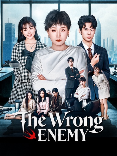 The Wrong Enemy poster