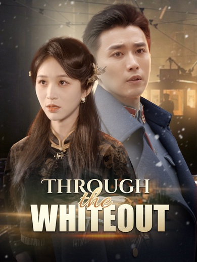 Through the Whiteout poster