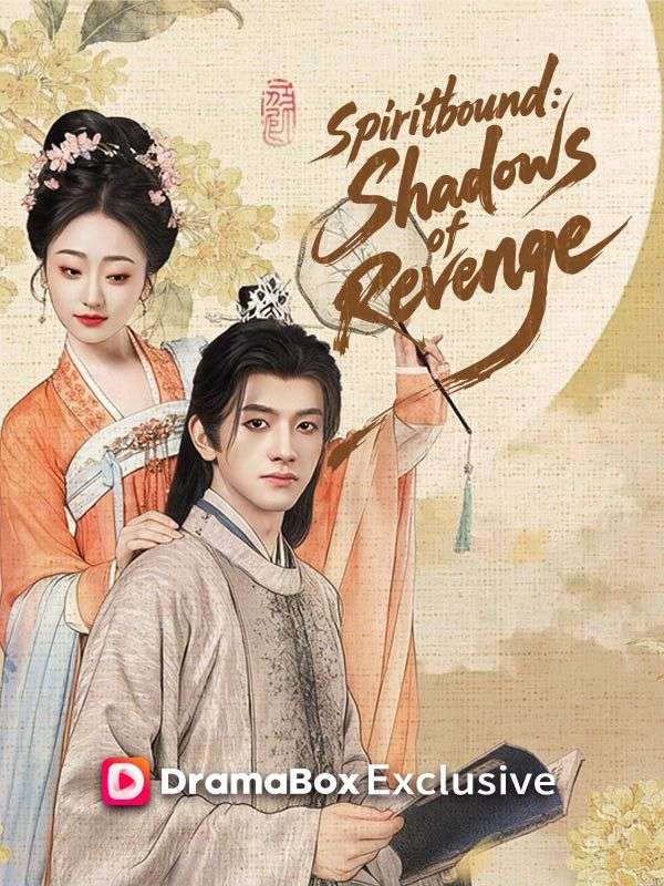 Spiritbound: Shadows of Revenge (DUBBED) poster