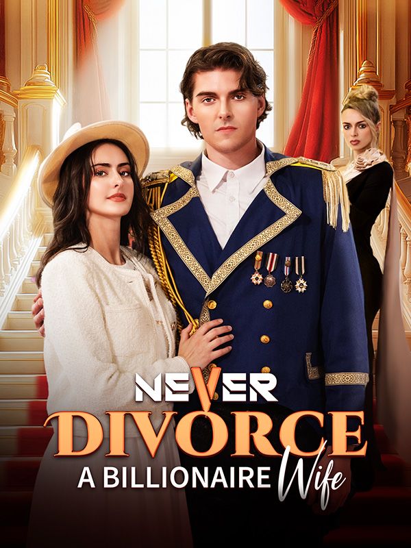 Never Divorce a Billionaire Wife poster