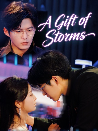A Gift of Storms poster