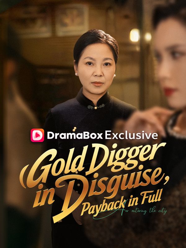 Gold Digger in Disguise, Payback in Full poster